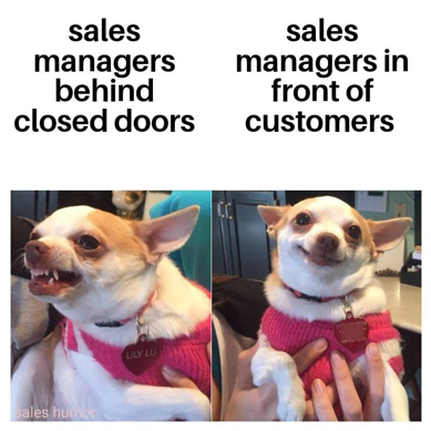 50 Sales Memes We won't Judge You For Looking at During Work Hours